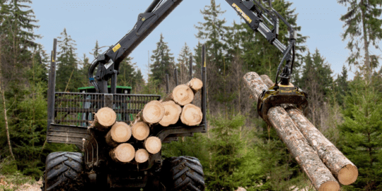 image of lumber being carried by machine showcasing employment screening for jobs in the forestry industry